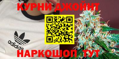стаф Шахты