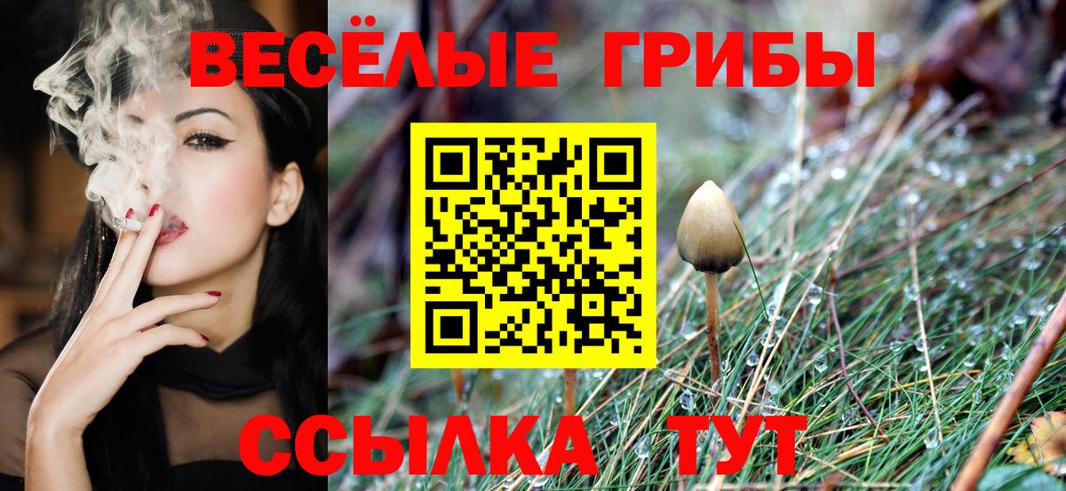 Псилоцибиновые грибы MAGIC MUSHROOMS  Вход с VPN  Кинешма 